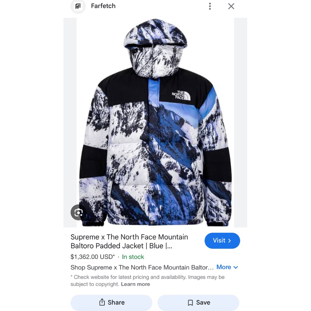 Supreme X the north face baltoro padded jacket