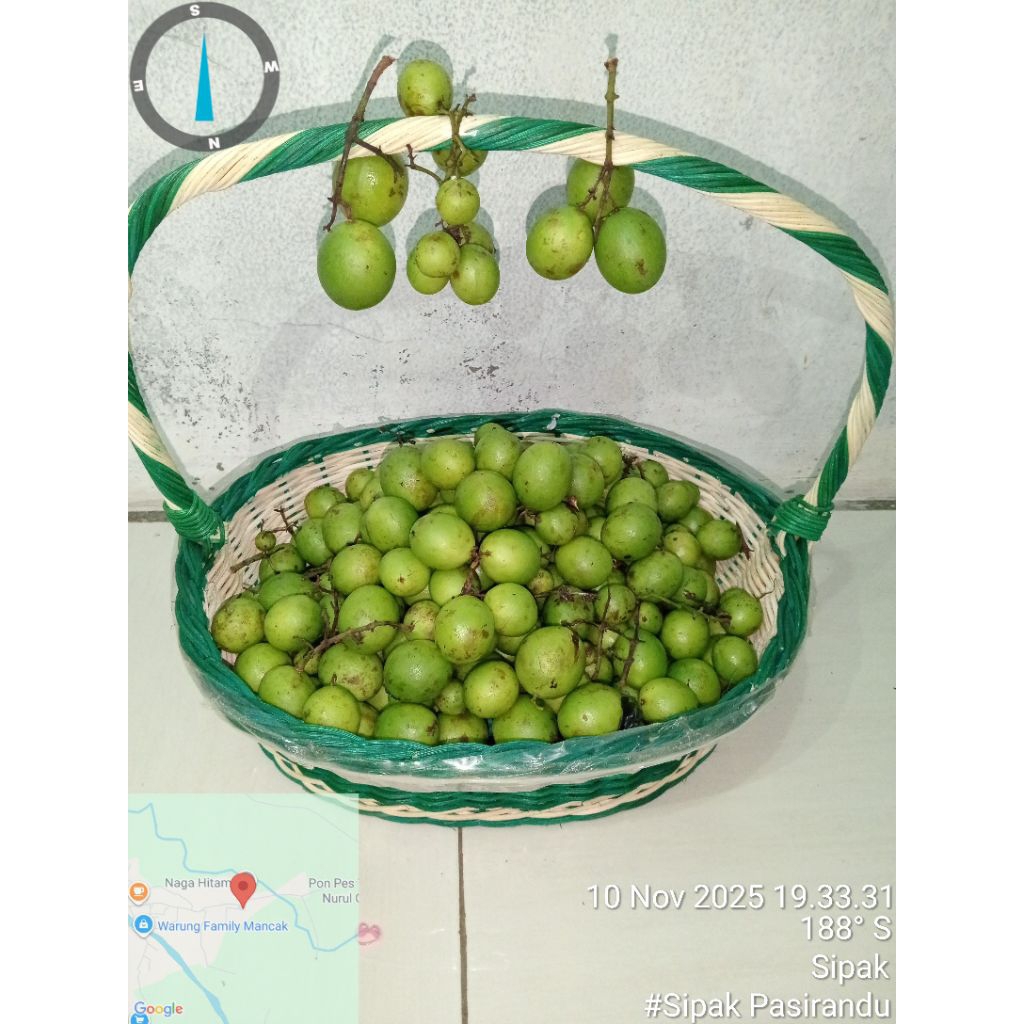 Buah Gandaria Mentah segar