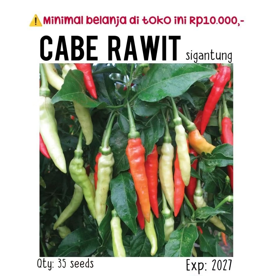 35 biji - Benih cabe rawit Sigantung