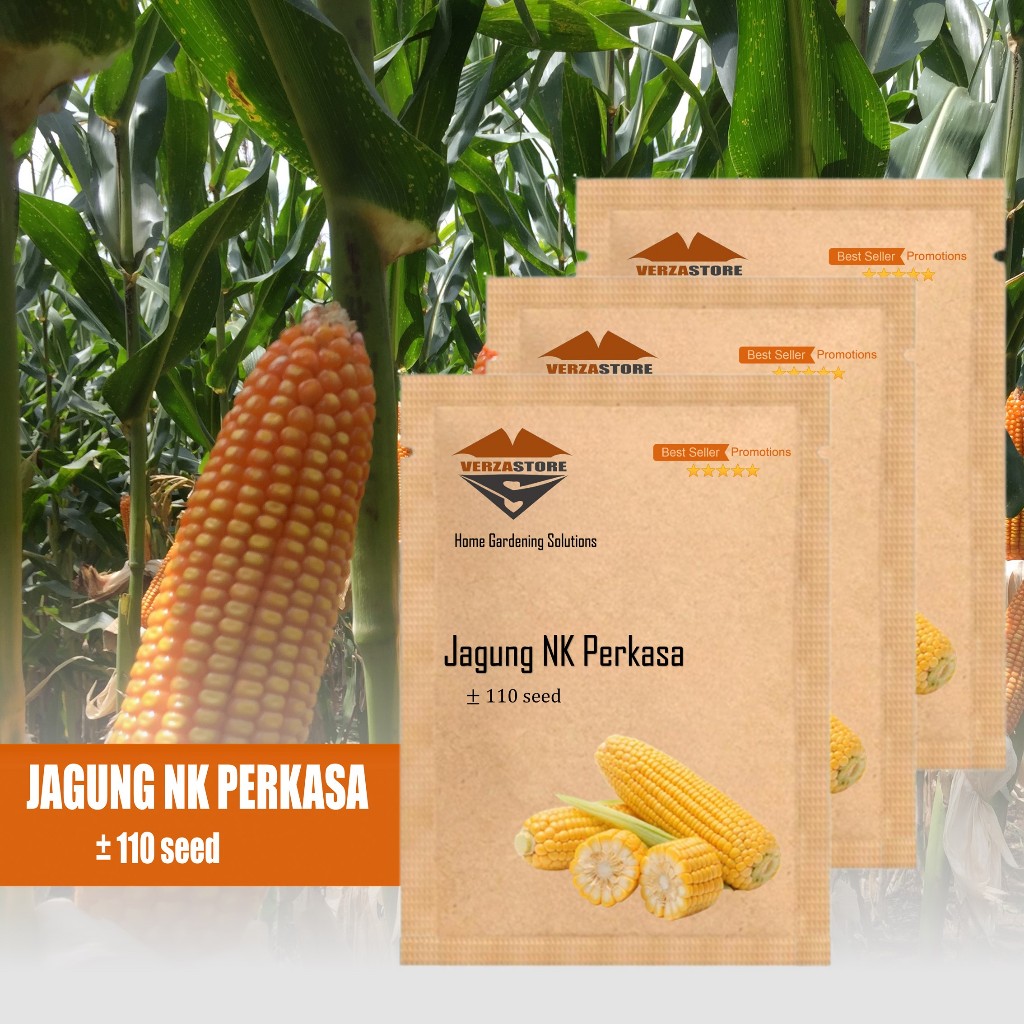 ±110 Biji - Benih Jagung NK 6172 PERKASA Hibrida F1