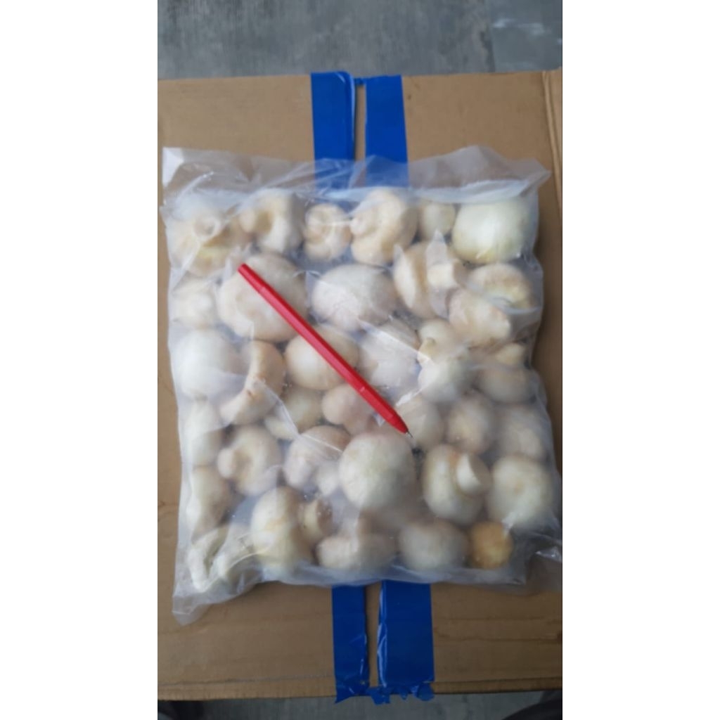 Jamur KANCING Mushroom 1kg