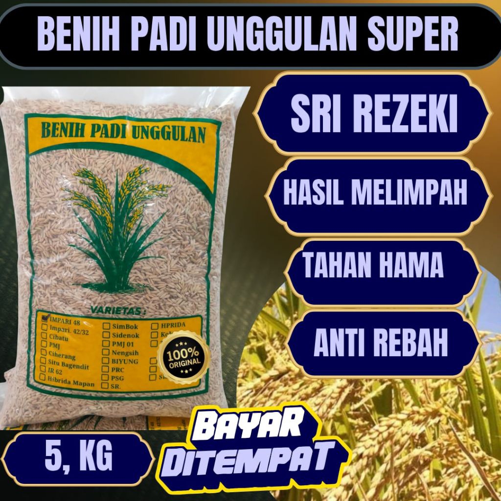 benih padi unggul Sri rezeki note 5Kg SRIREZKI Benih padi Sri rezeki