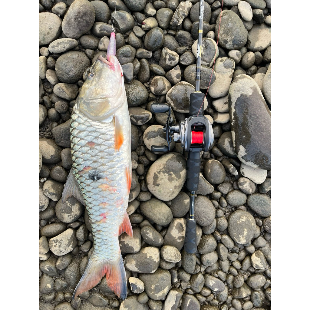 Joran BC Fenwick Iron Hawk IHC662ML