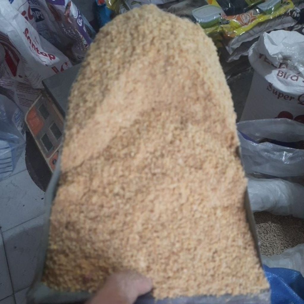 pur ayam pitik anak ayam baru netas 1 kilo