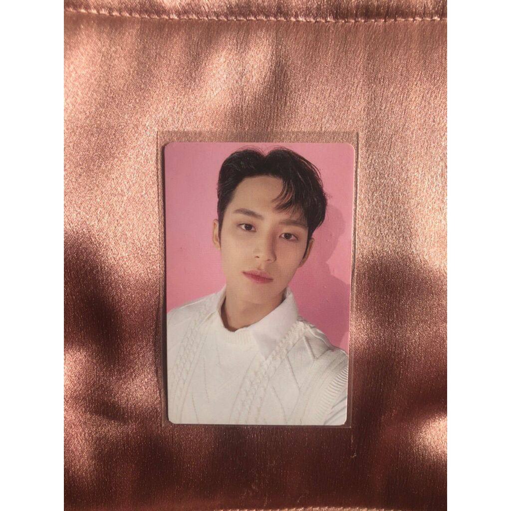 Photocard Mingyu Seventeen Cafe (mingyu barbie)