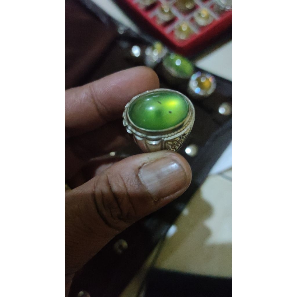 SERPENTIN GIOK ACEH HQ