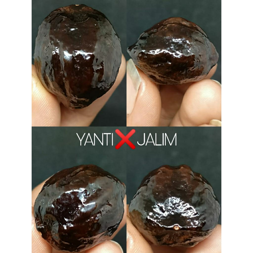 MUNCANG ADUAN YANTI×jalim