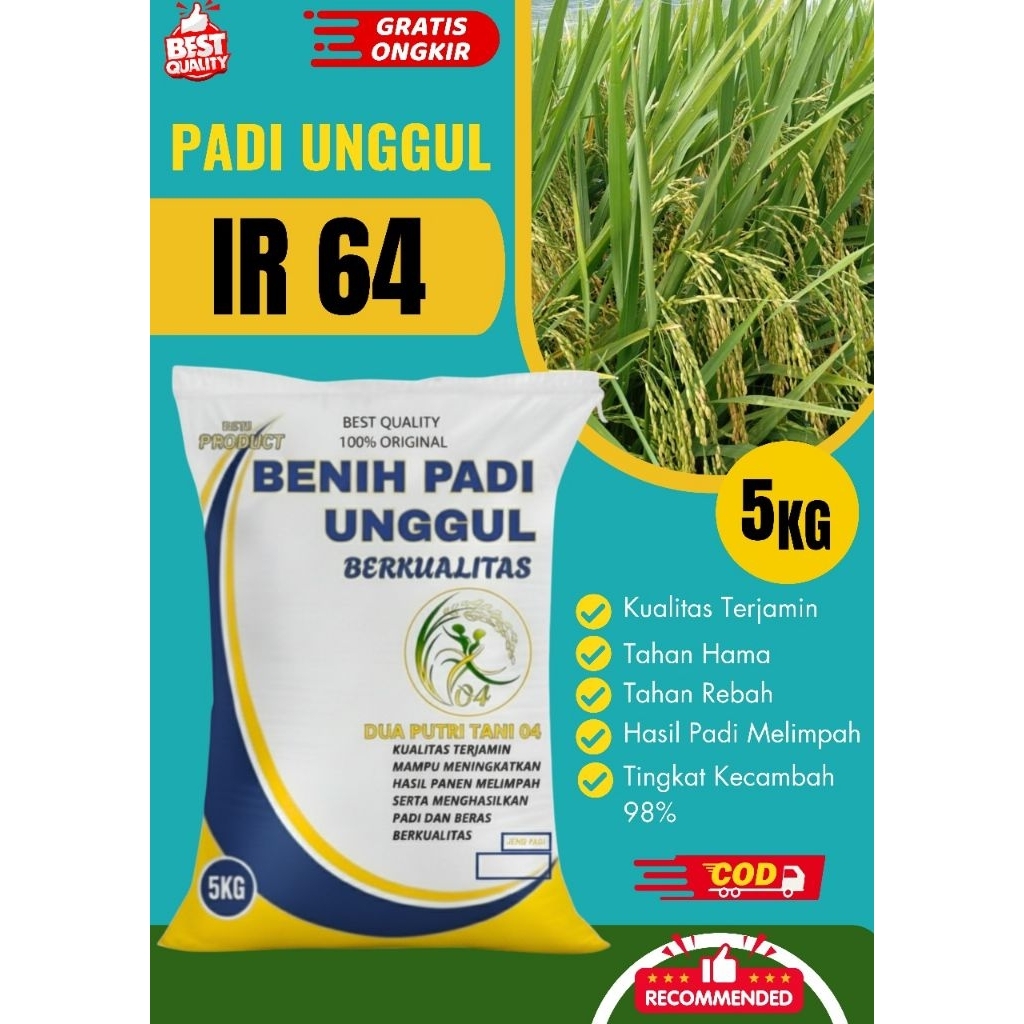 benih padi unggul IR 46 5kg.