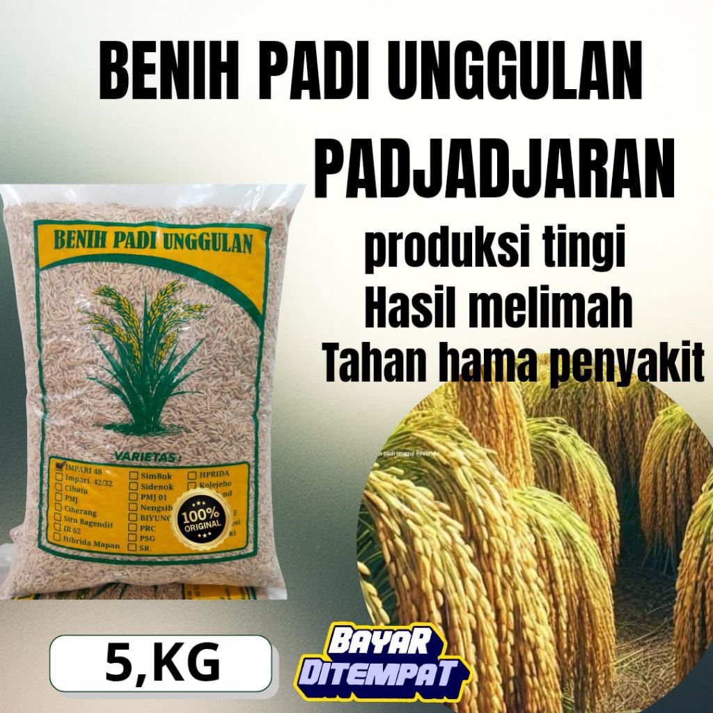 Benih padi unggul berkualitas PADJAJARAN 5KG
