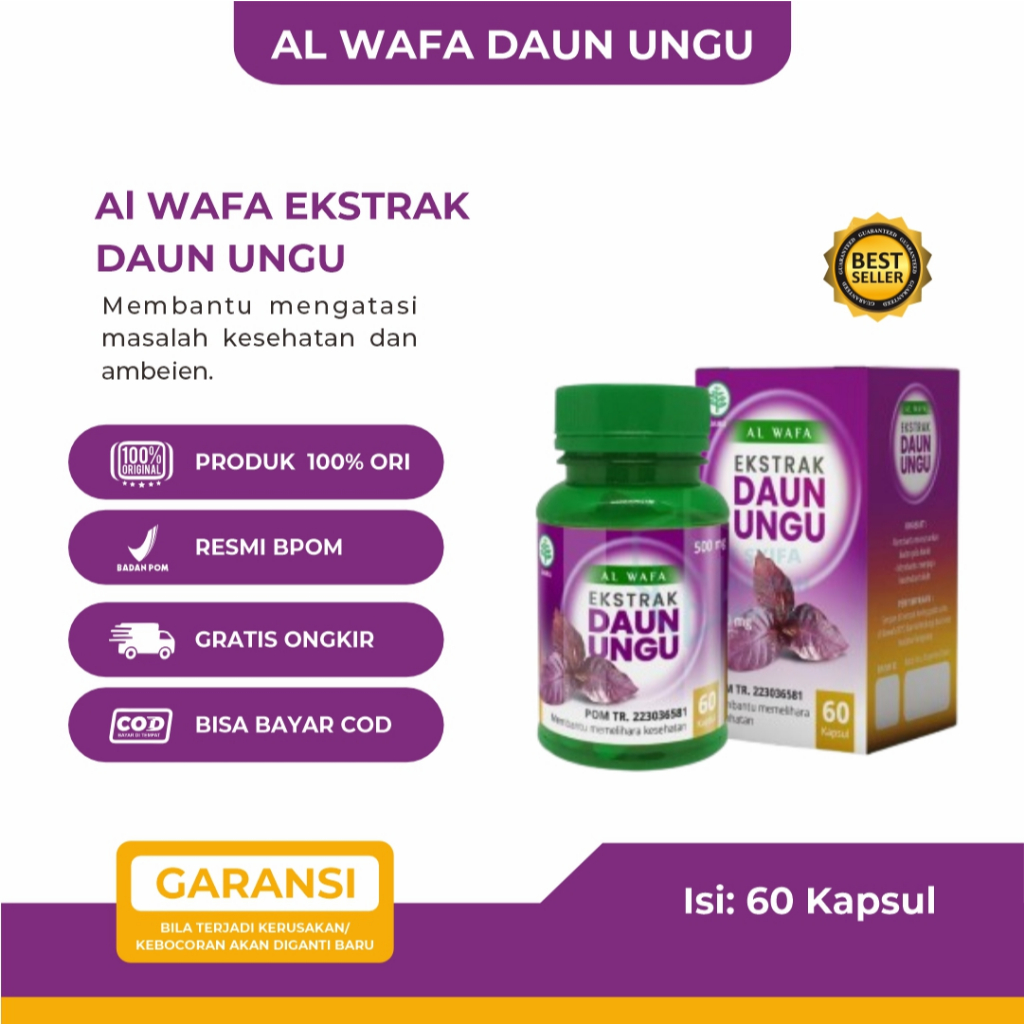 Kapsul Daun Ungu Untuk Ambeien Kapsul Daun Ungu 100% Original Kapsul Daun Ungu Al Wafa