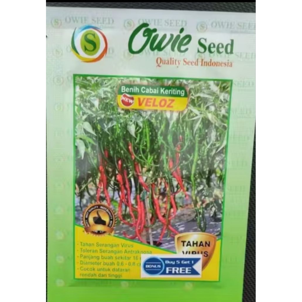 cabai keriting veloz tahan virus 10gr