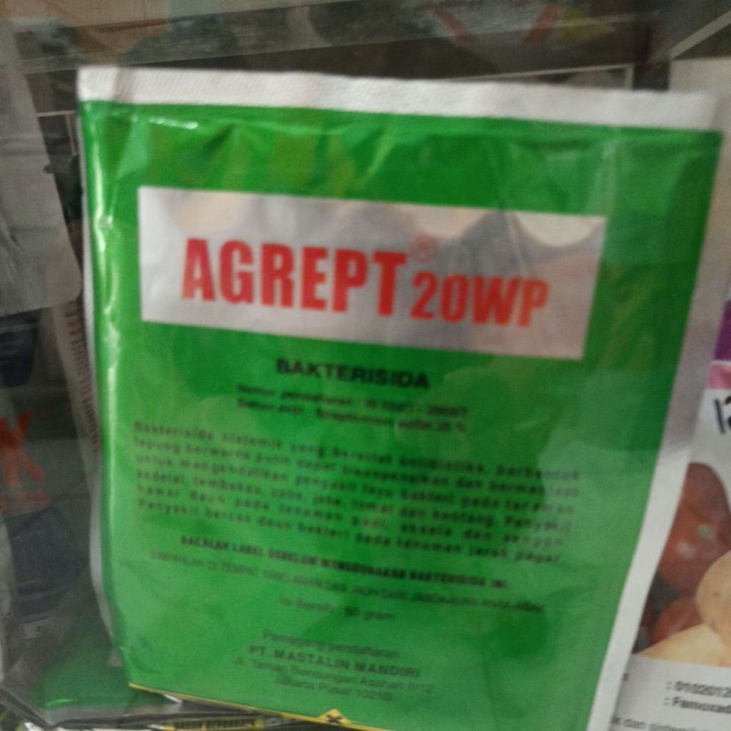 Bakterisida agrept 50 gr