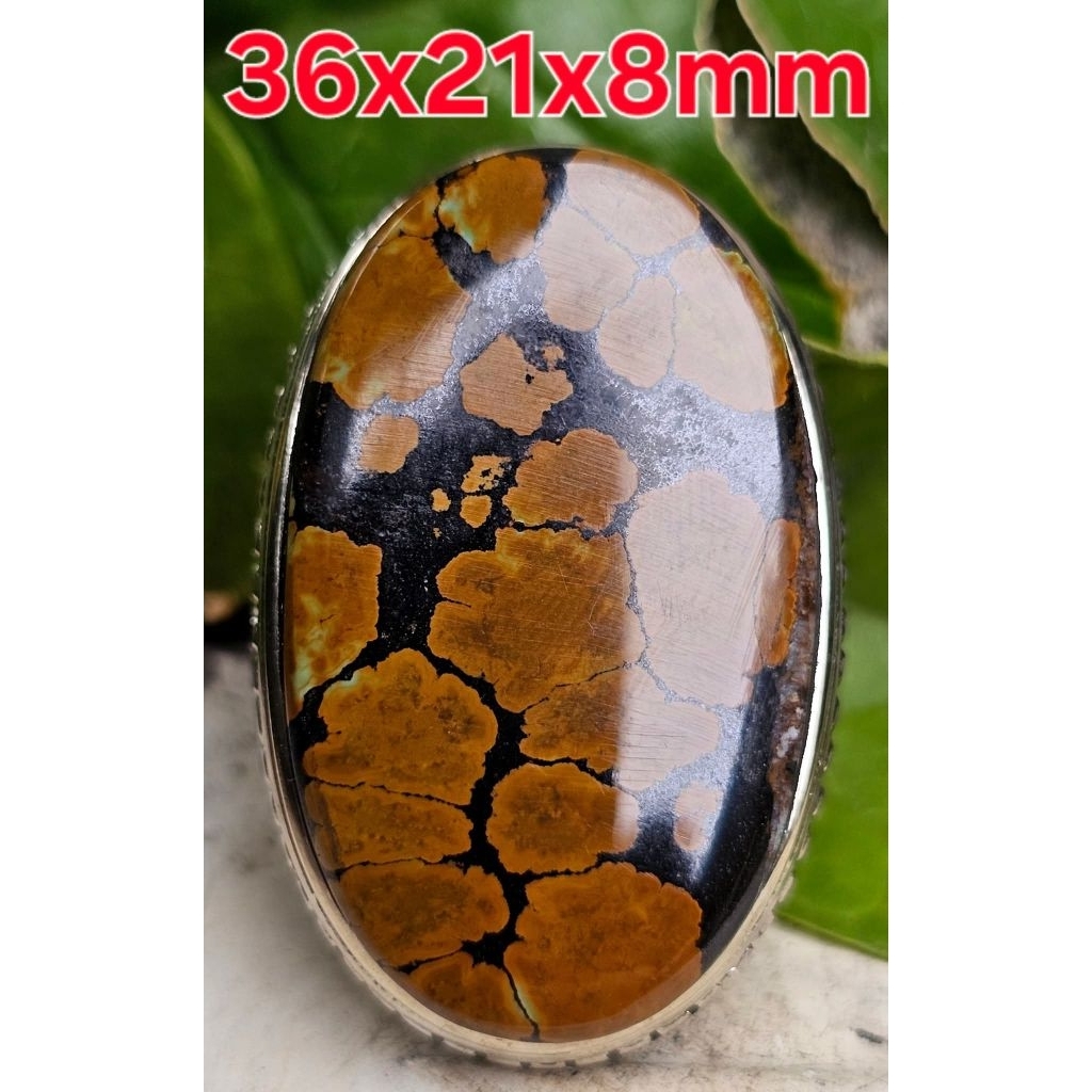 Natural Pirus Hubei Coklat Ceplok Jumbo