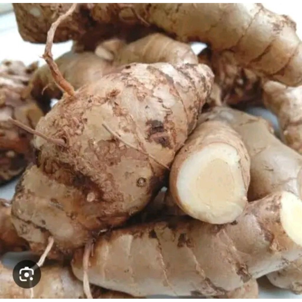 KUNYIT PUTIH /1kg