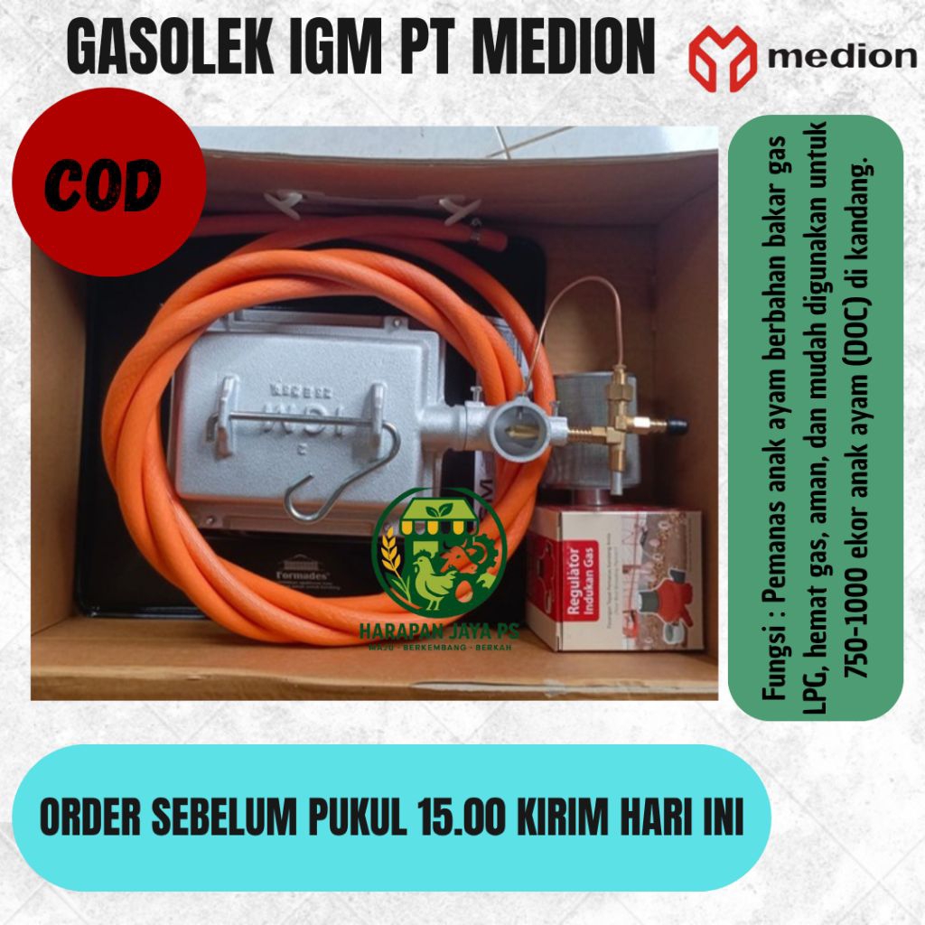 Gasolek Pemanas Ayam DOC PT MEDION Ayam Broiler Kandang Ayam Petelur Unggas Lainnya