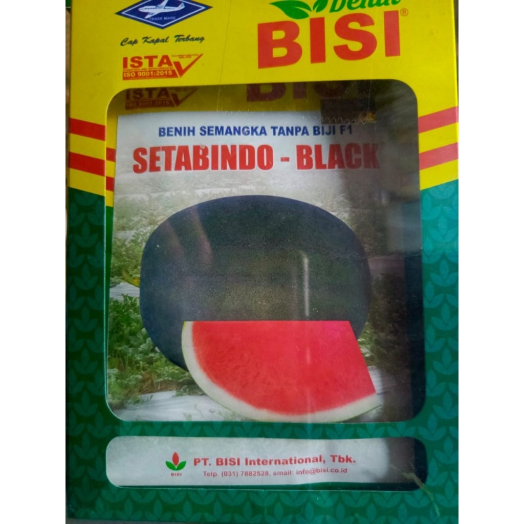 Bibit Benih Semangka Non Biji F1 Setabindo Black