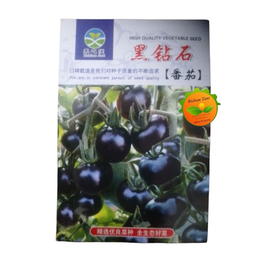 Benih Tomat Hitam cina