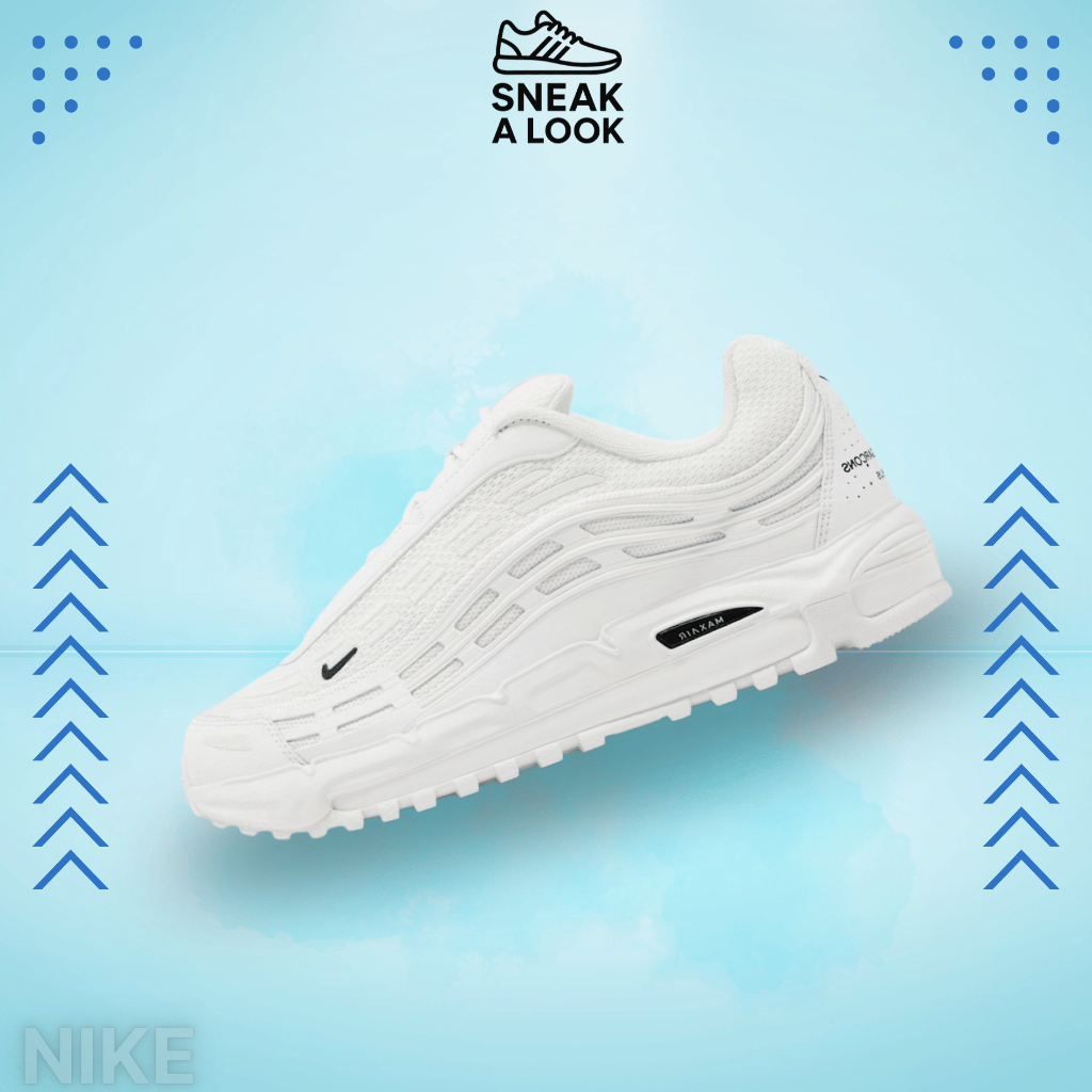 CDG Homme Plus x Nike Air Max