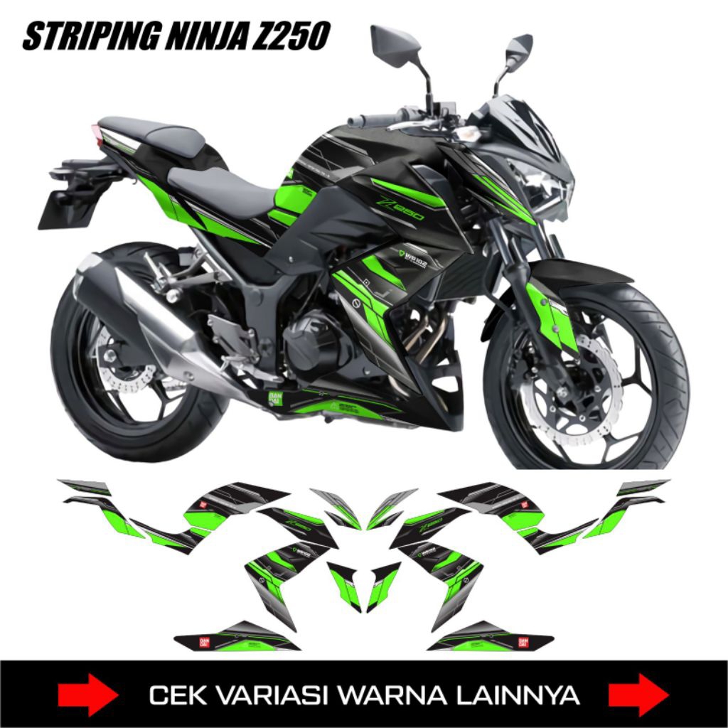 STRIPING NINJA Z250/Costum printing/STIKER KAWASAKI NINJA Z250