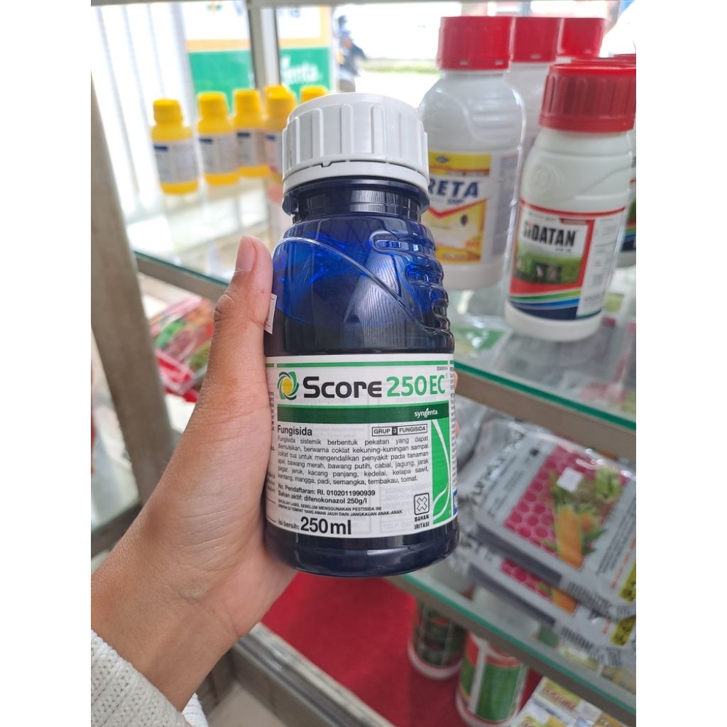 SCORE 250 EC FUNGISIDA