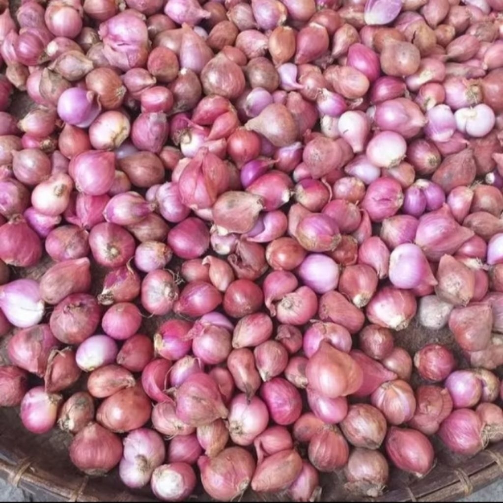 Bawang merah 1kg