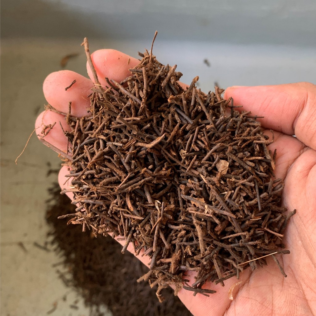 pakis cacah 1 kg media tanam tanaman bungga angrek aglonema