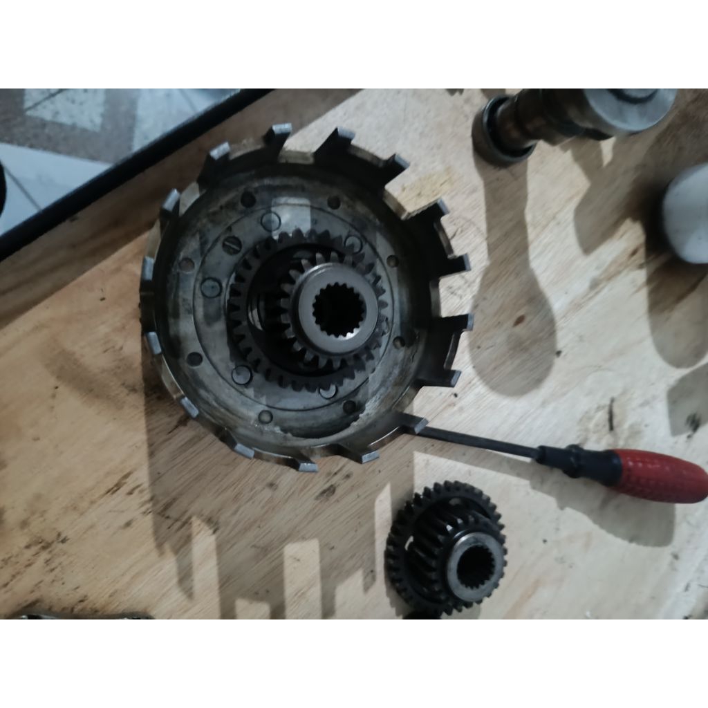 ronsel tiger original