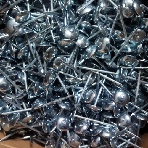 PAKU PAYUNG / PINES PANJANG 5/8 BOX