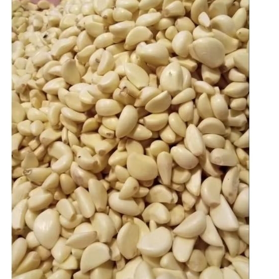 bawang putih kating kupas