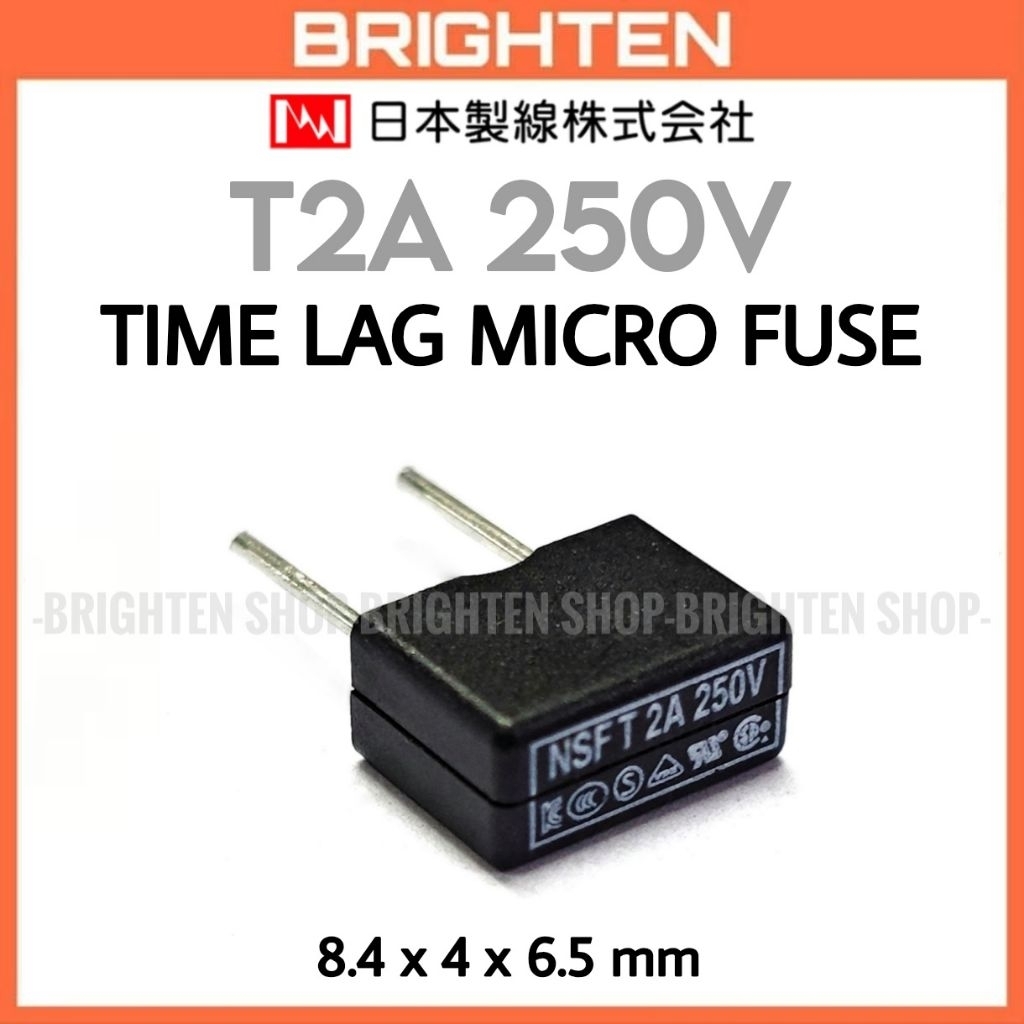 NSF Micro Fuse 2A 250V Time Lag T2A Slow Acting
