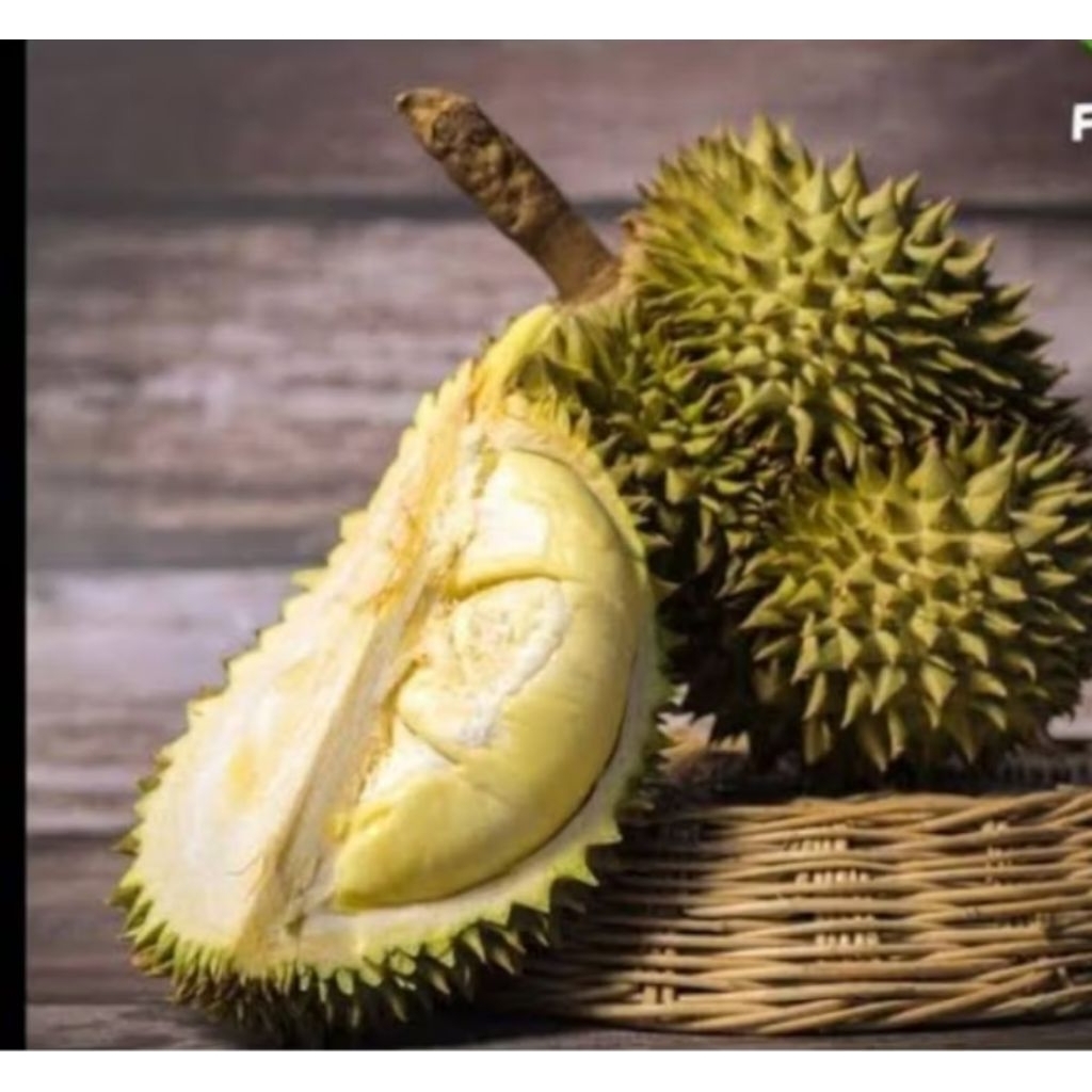 BELI 2 GRATIS 1 ..!!! DURIAN MONTONG BALI FRESH UTUH 1 -  4 KG