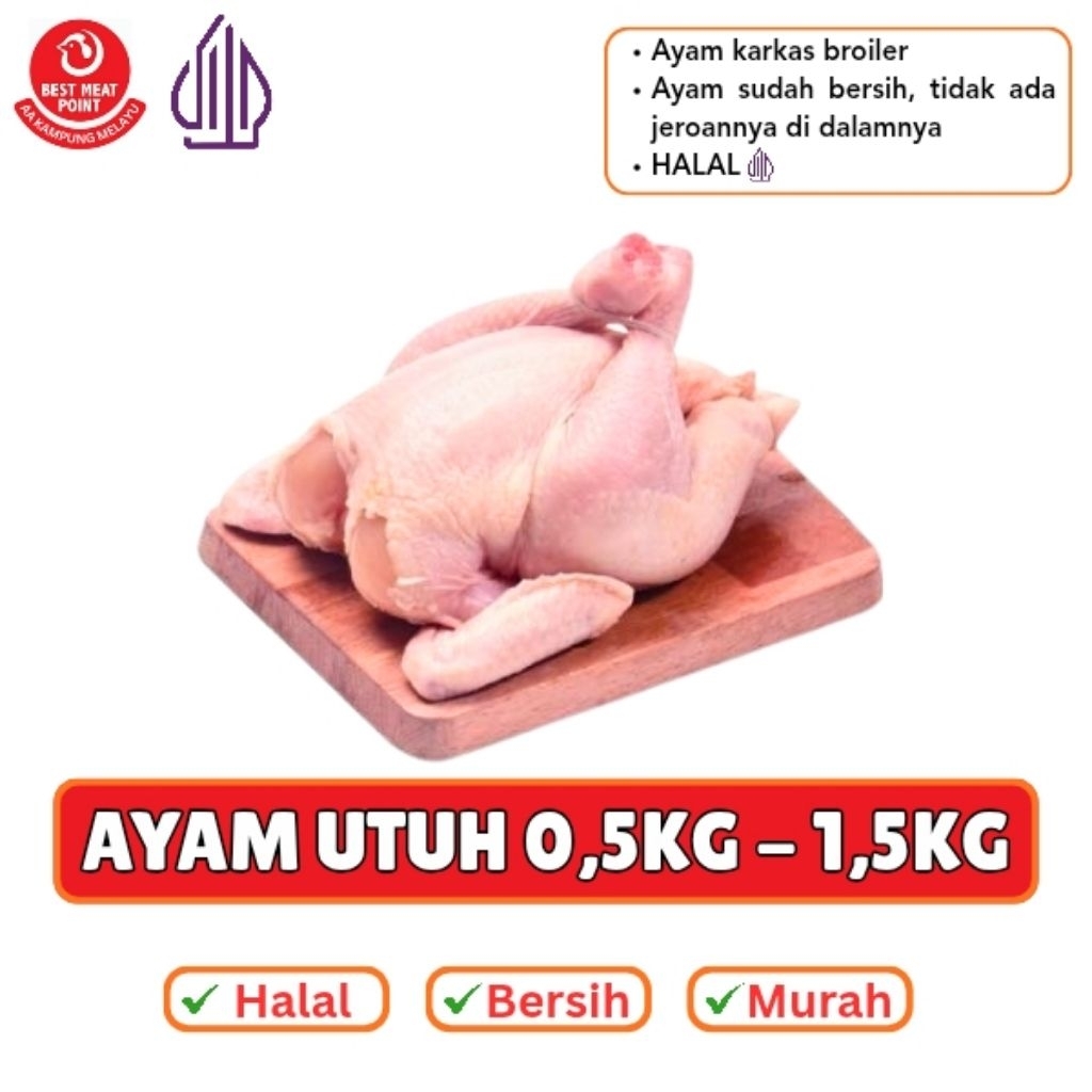 AYAM UTUH KARKAS BROILER UKURAN 0,5KG - 1,5KG