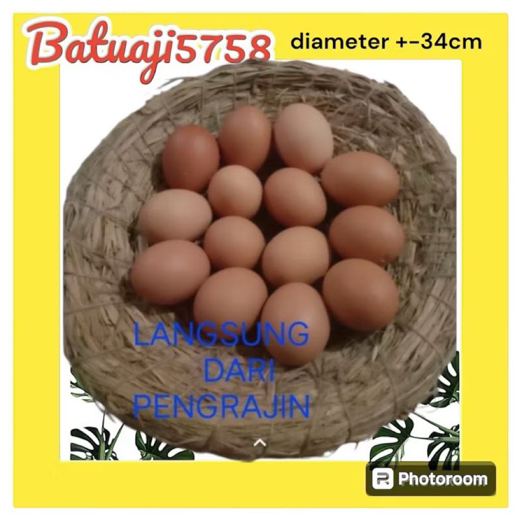 sangkar / tarangan ayam