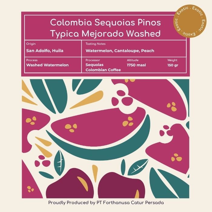 Colombia Sequoias Pinos Typica Mejorado Washed - Biji Kopi - Kopi Arabika by FORTH Coffee Co.