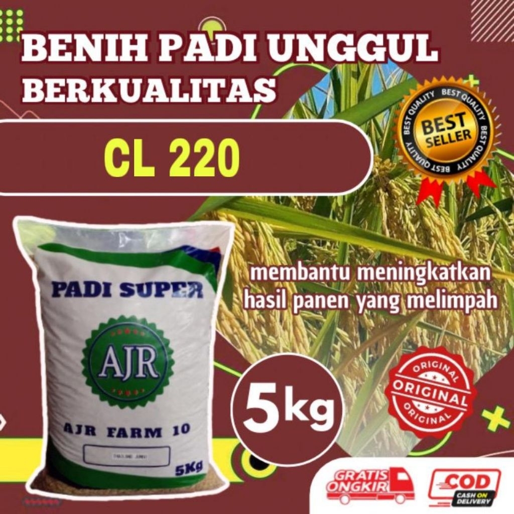 Benih padi unggul cl 220 5kg original