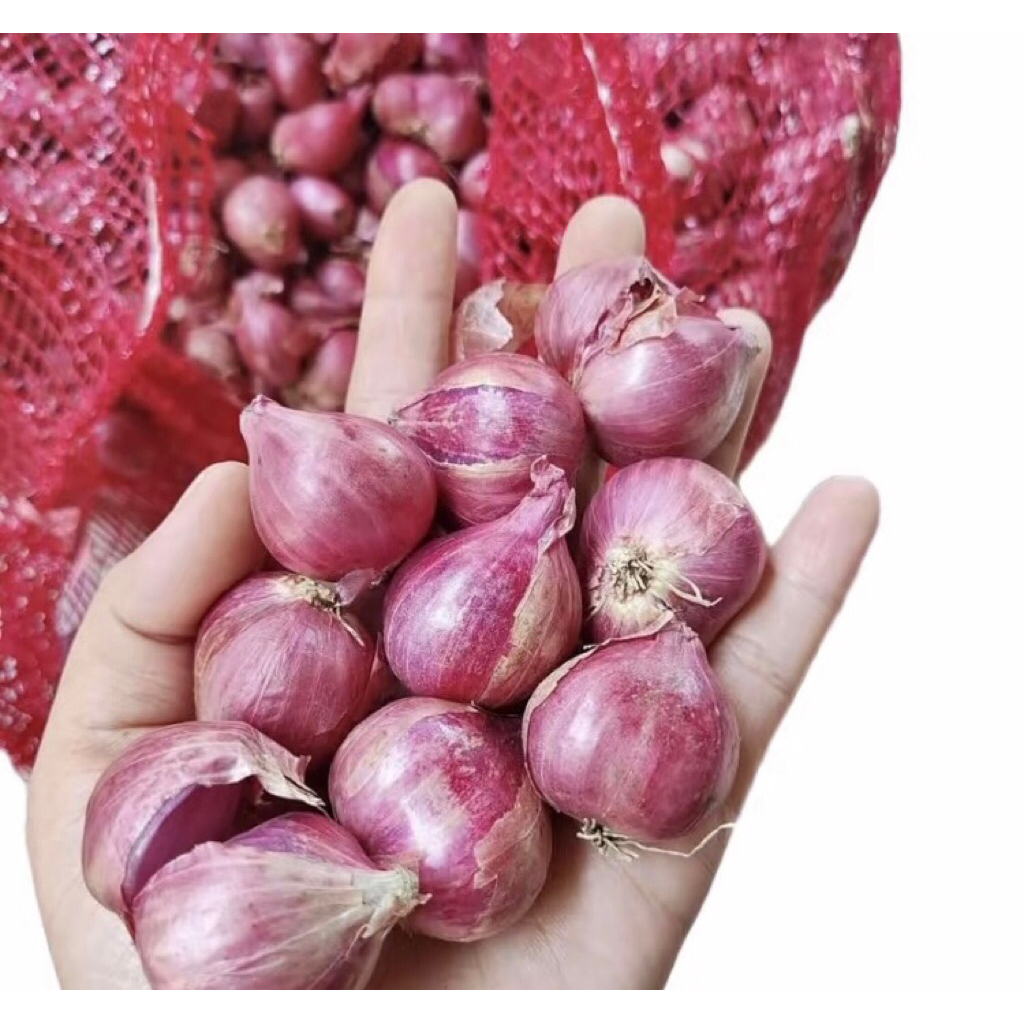 Bawang Merah 1kg free bawang putih