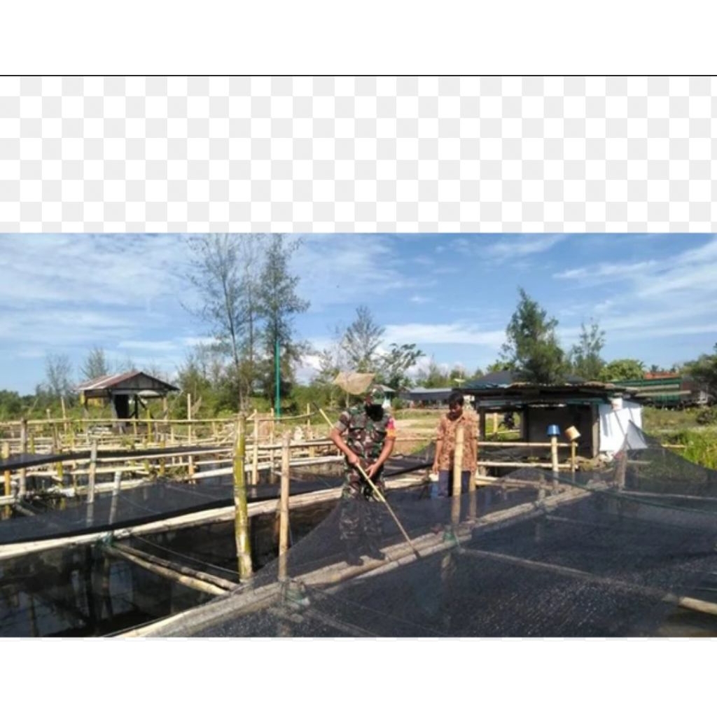 WaringHitamPanjang100meter