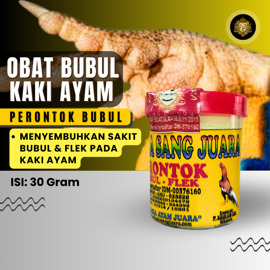 OBAT BUBUL AYAM BANGKOK ADUAN AMPUH MENYEMBUHKAN BUBULAN PADA KAKI AYAM BANGKOK