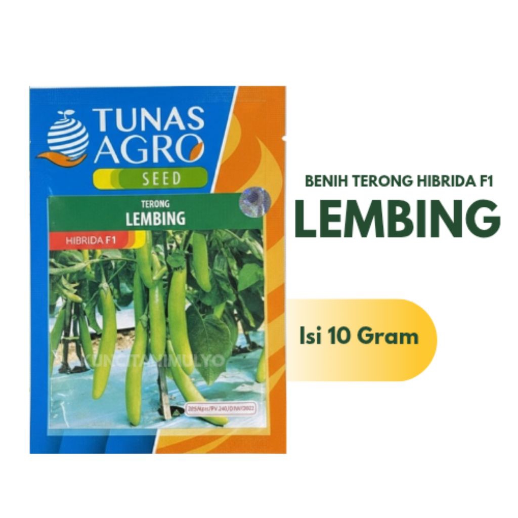 Benih Terong Hijau Hibrida F1 LEMBING Terong Hijau Tahan Virus (10 Gram)