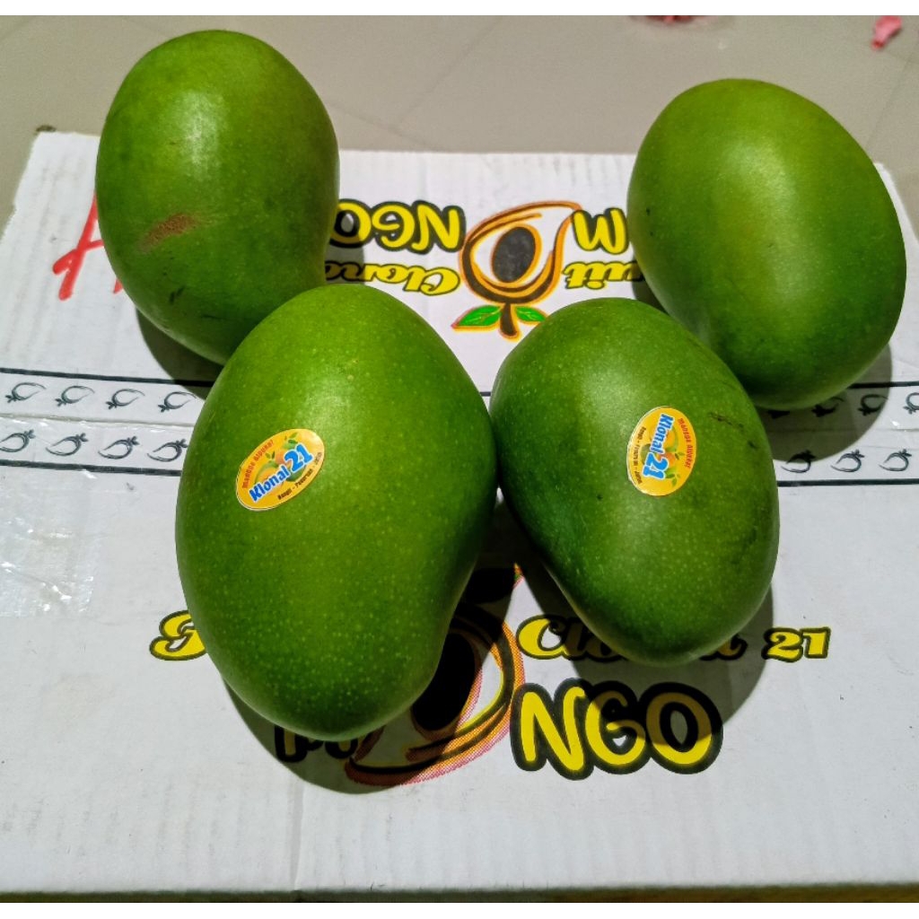 Mangga Alpukat Matang Pohon Bangil Premium kurleb 5kg