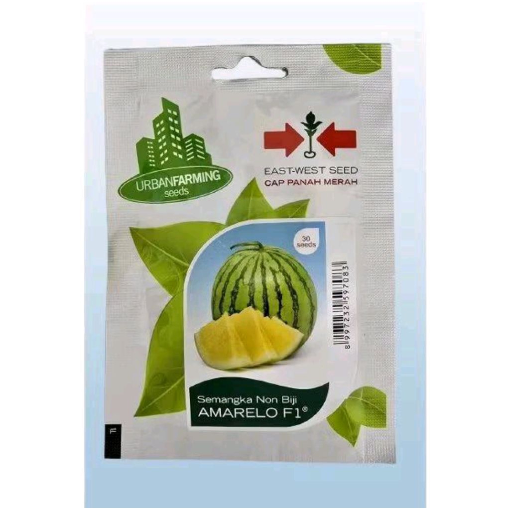 30 Butir Benih Semangka Kuning Tanpa Biji Amarelo F1 Exp. 2026