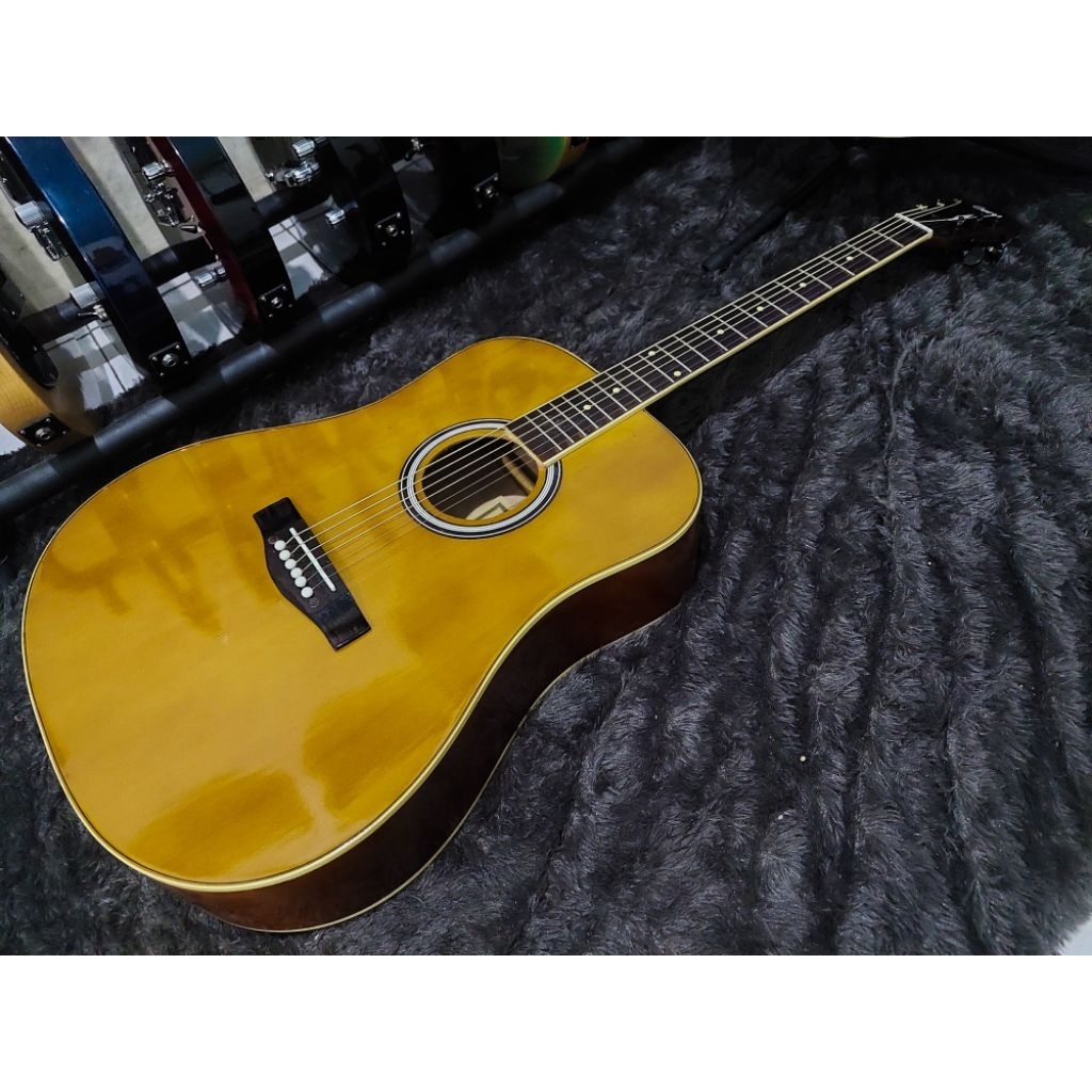 Gitar akustik Model Cort Ad810
