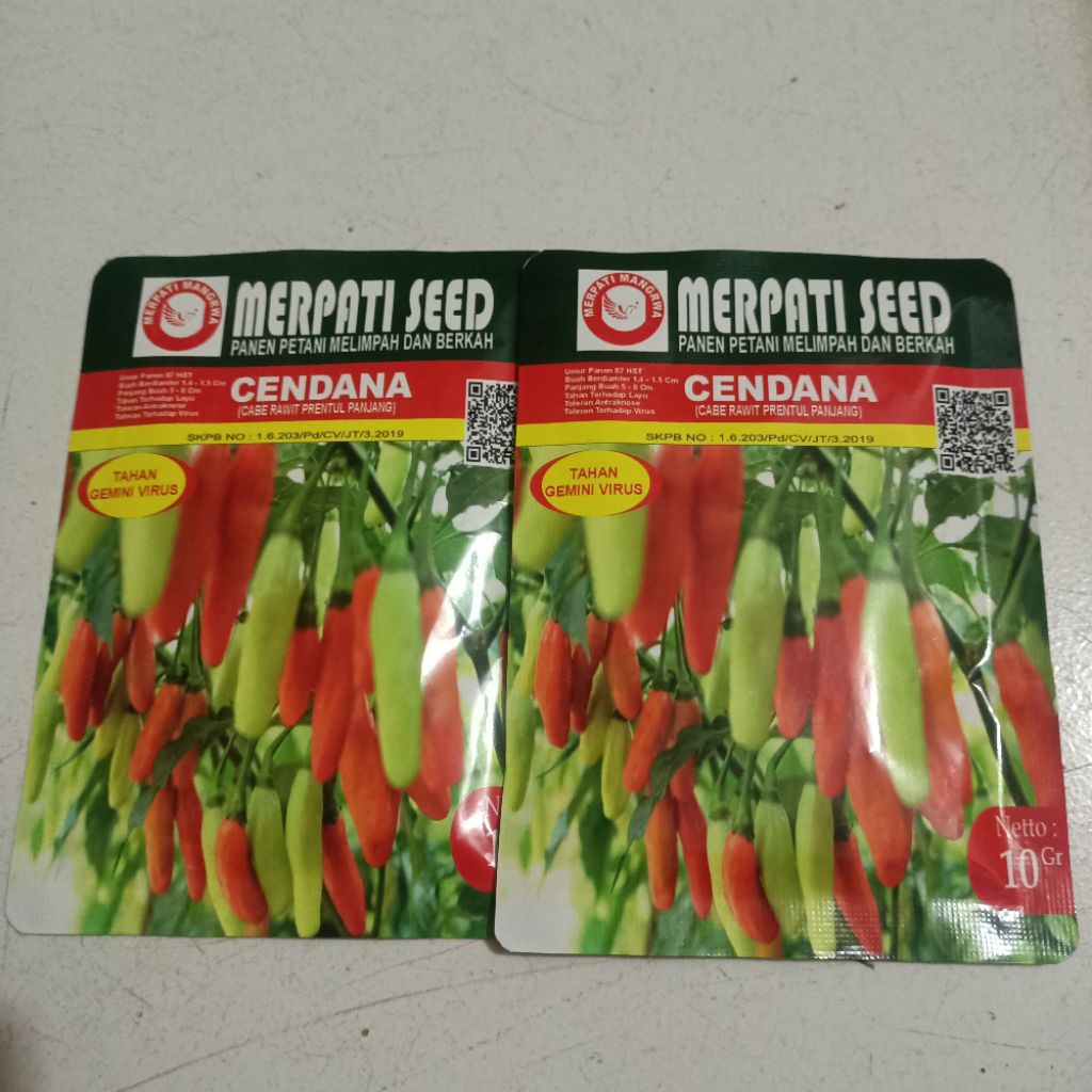 Benih bibit Cabe Rawit Putih CENDANA Tahan Virus 10 gr +- 2500 biji