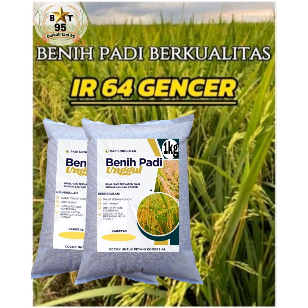 benih padi IR 64 GENCER super berkualitas.5kg
