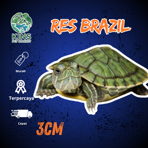 KURA AIR KURA KURA BRAZIL & DADA MERAH - KURA KURA LUCU IMUT UKURAN 3CM INSTANT