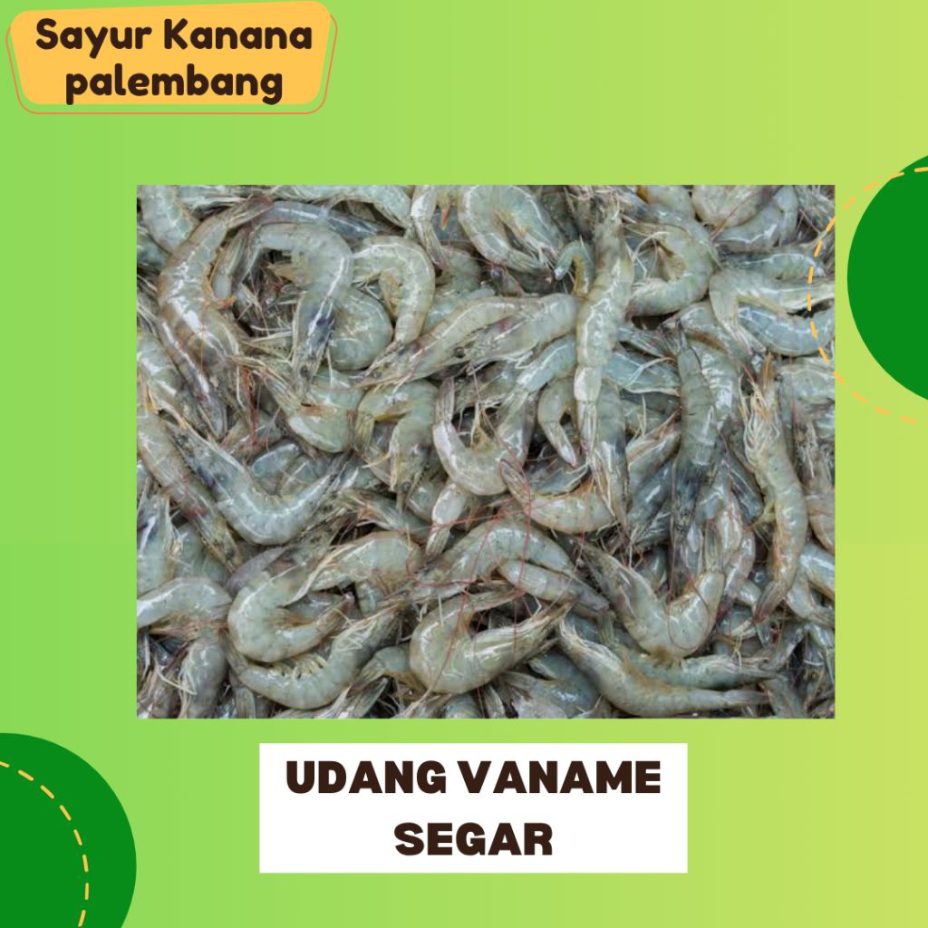 Udang Vaname Segar - Sayur KananaPalembang