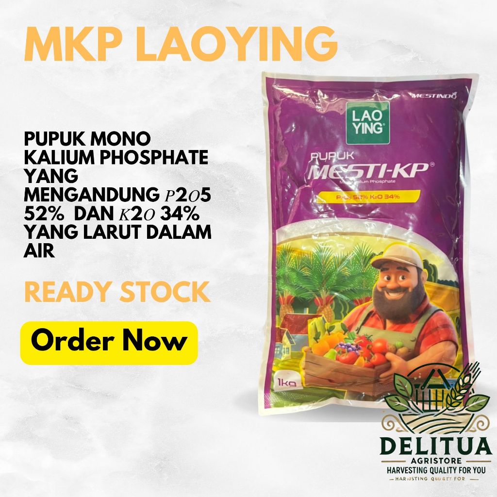 MESTI-KP CAP LAOYING 1 KG