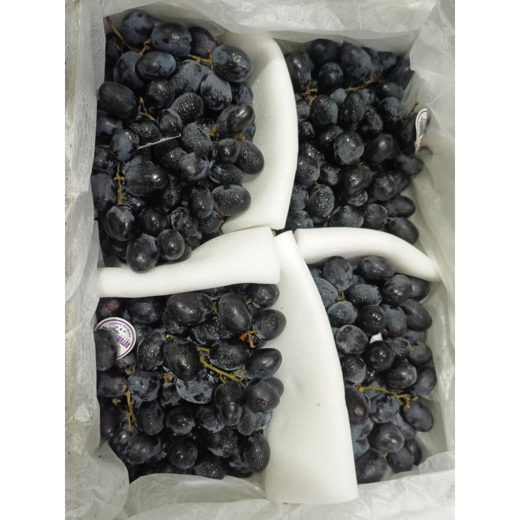 Anggur Autumn Royal Black 6 kg Manis