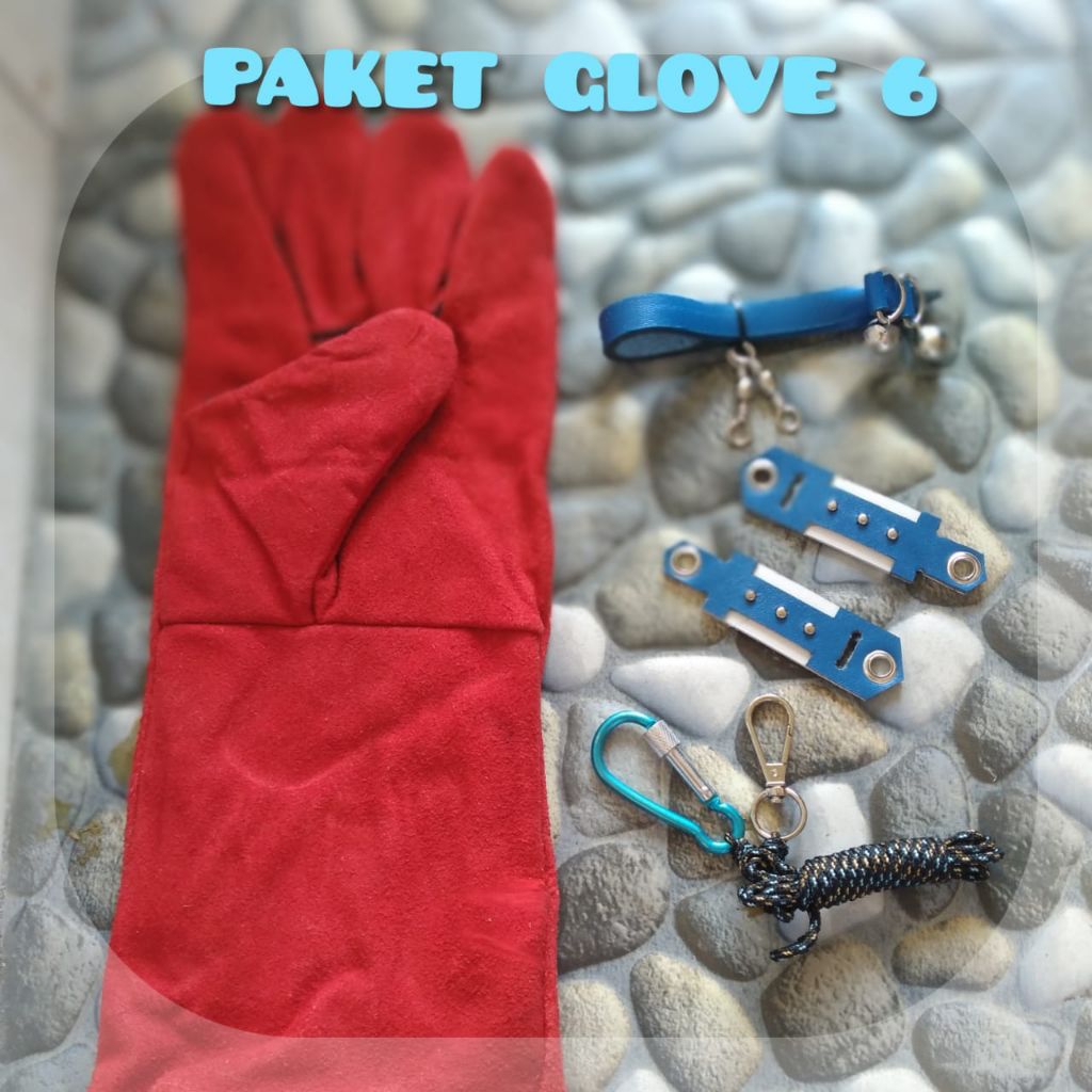 paket angklet dan glove burung hantu tyto alba/barn owl