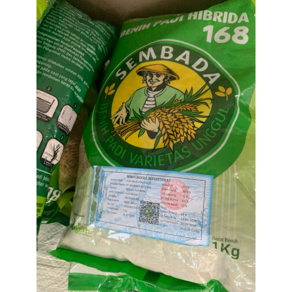 bibit padi sembada 168